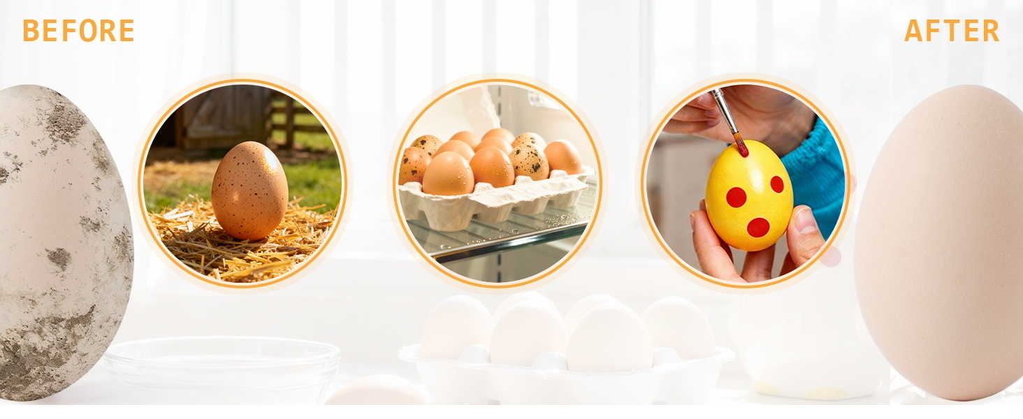 egg scrubber