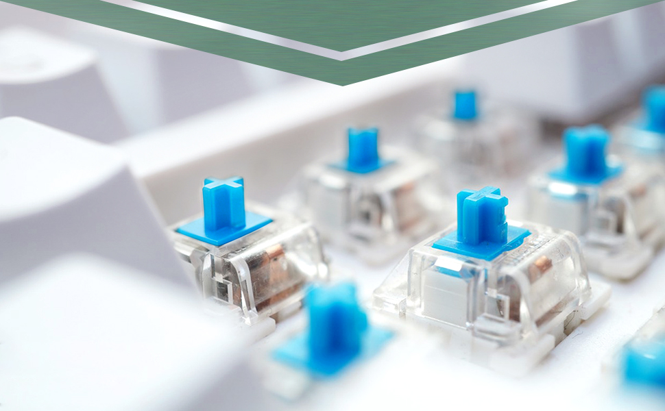 Blue Switch Replacement