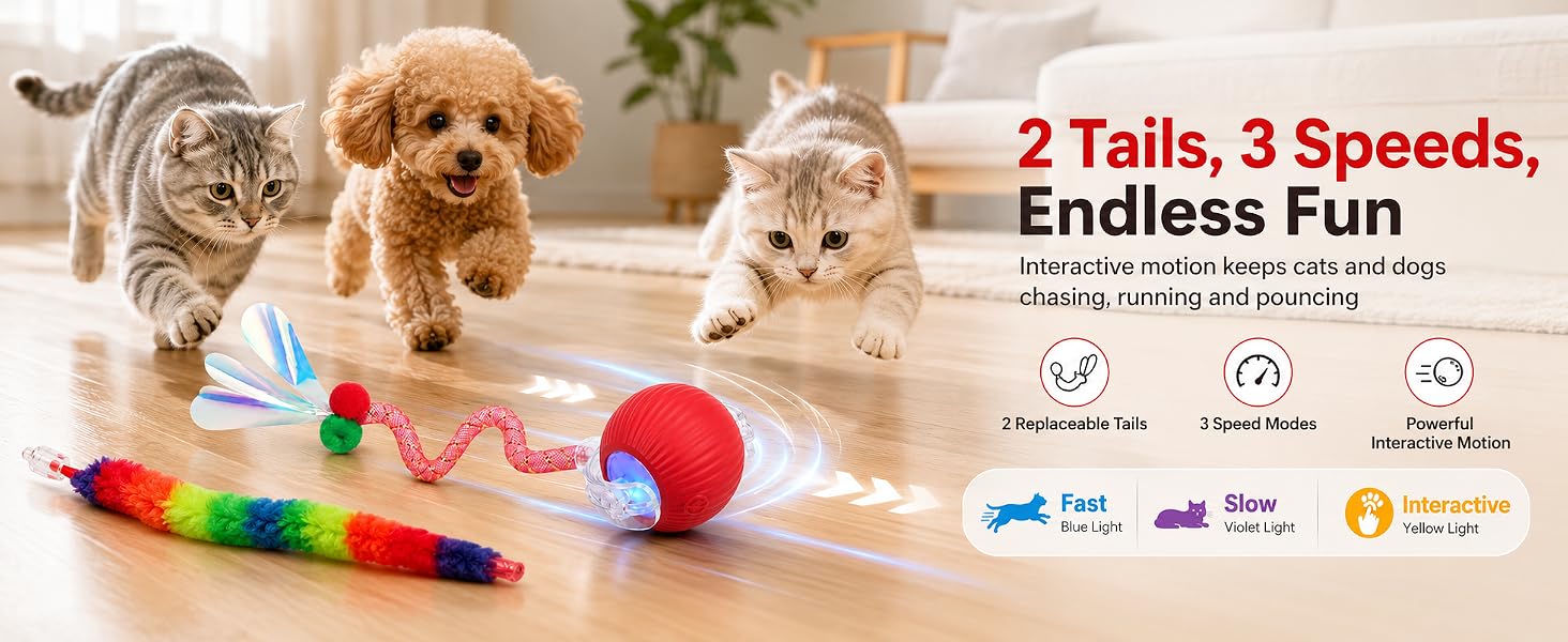 cat toys for indoor cats best sellers