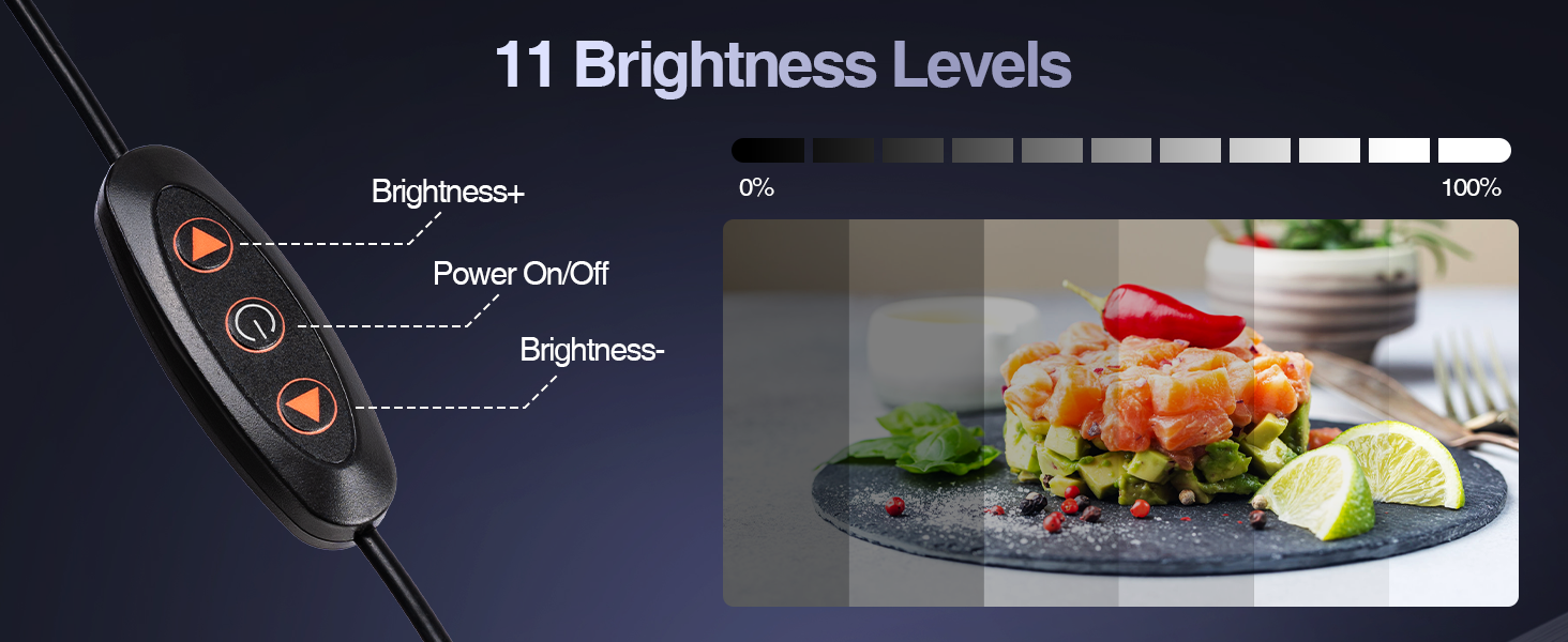 lighting for video recording
