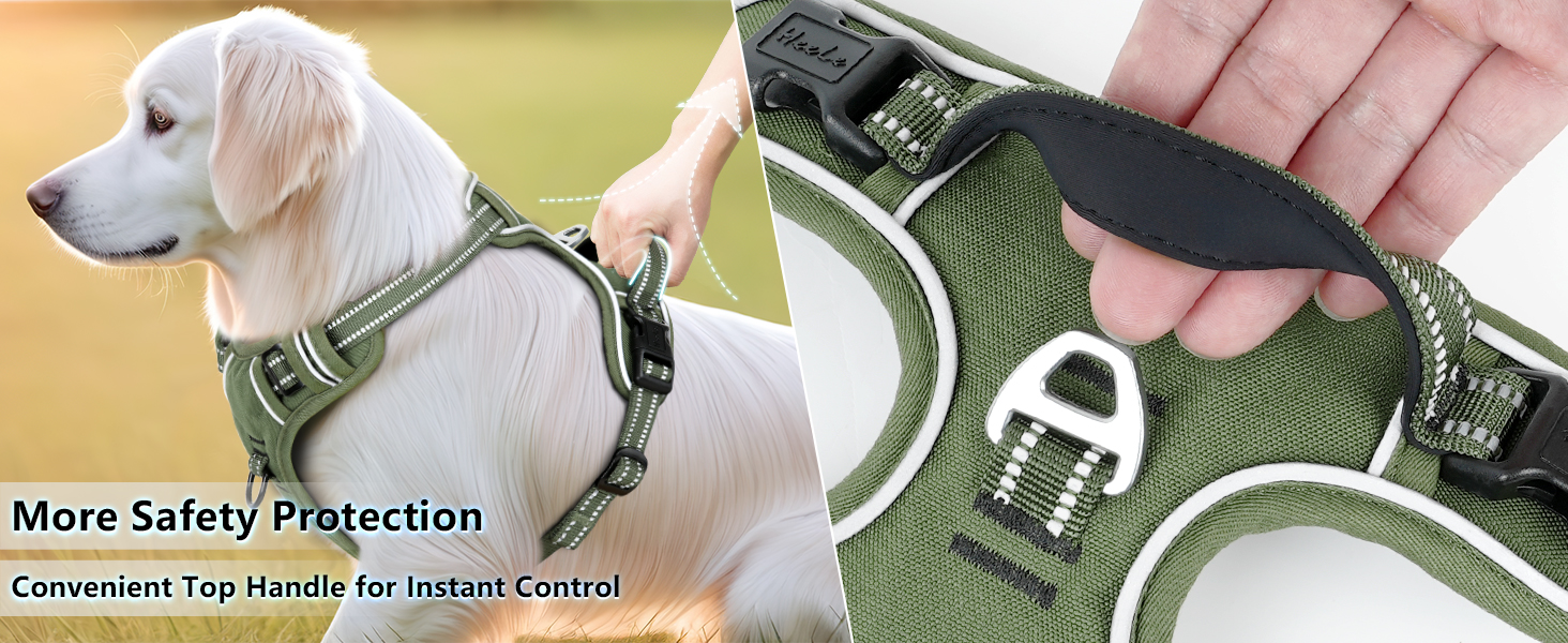 dog harness midium size dog