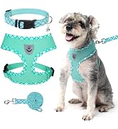 BINGPET Small Dog Harness and Leash Collar Set,Soft Mesh Reflective Dog Vest Harness No Pull,Step...
