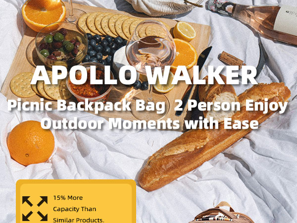 Picnic Backpack Bag Cooler Compartment Detachable Bottle Wine Holder Fleece Blanket Plates Cutlery