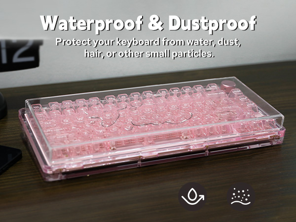 Dust Cover 81