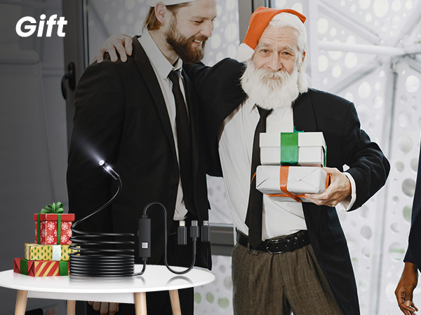 inspection camera with light