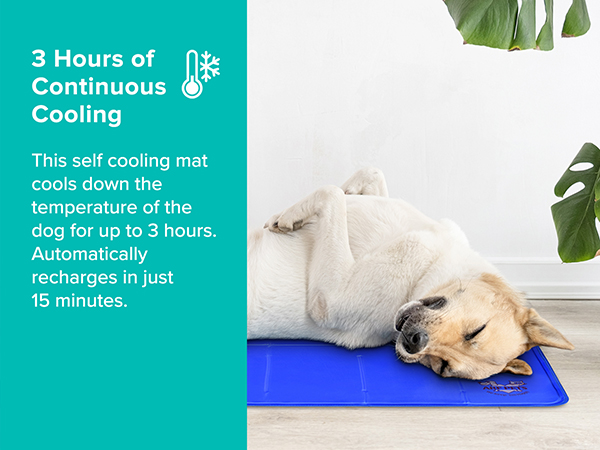 Cooling Mat