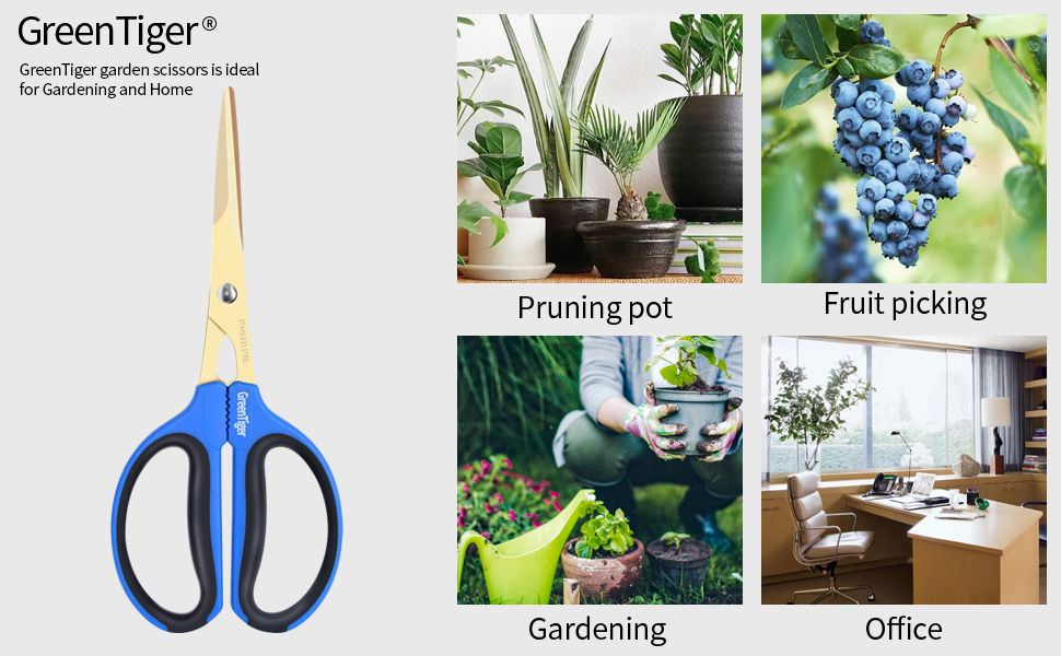 Hand Pruning Shears