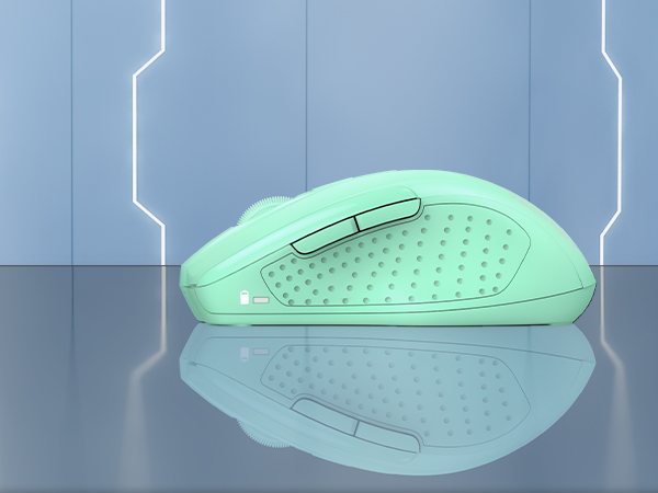 mouse