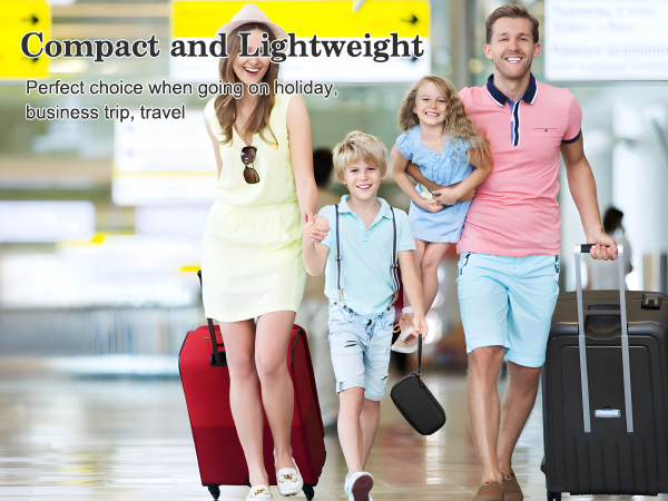 electronic organizer