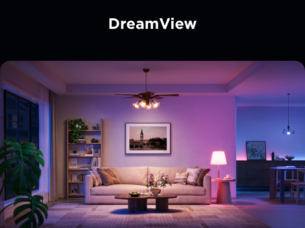 DreamView