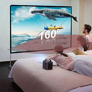 Projector Screen