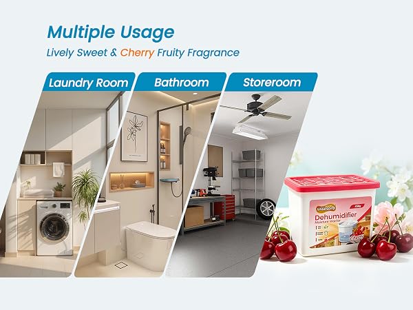 450g Dehumidifier with Fragrance