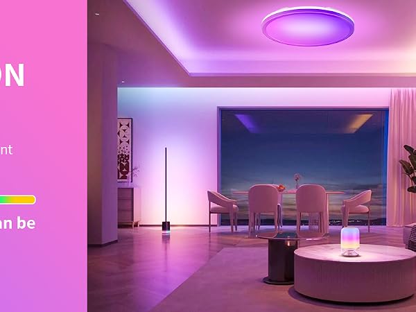 smart ceiling light