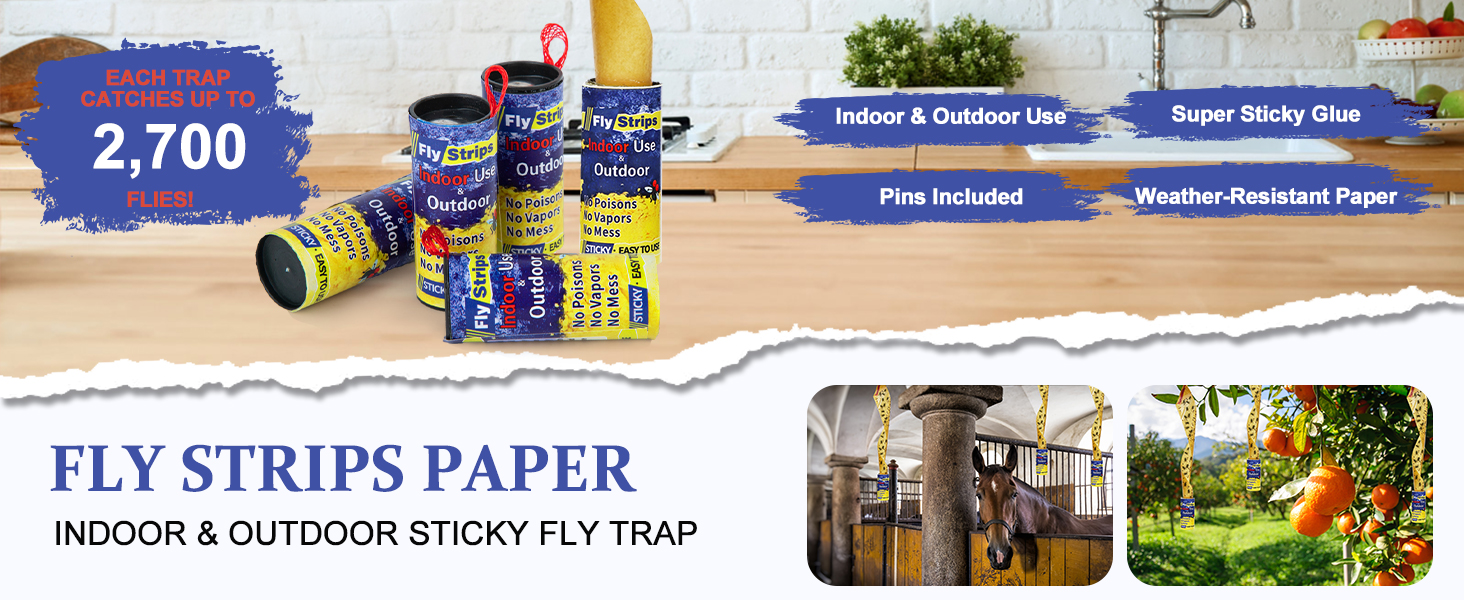 fly strip