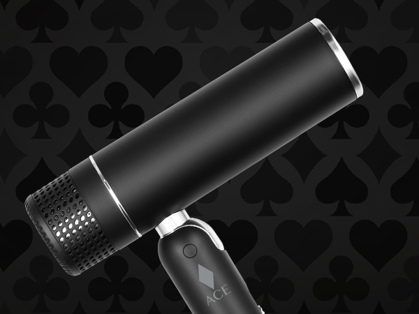 Ace Hair Dryer