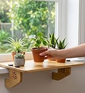 Window Shelf for Plants