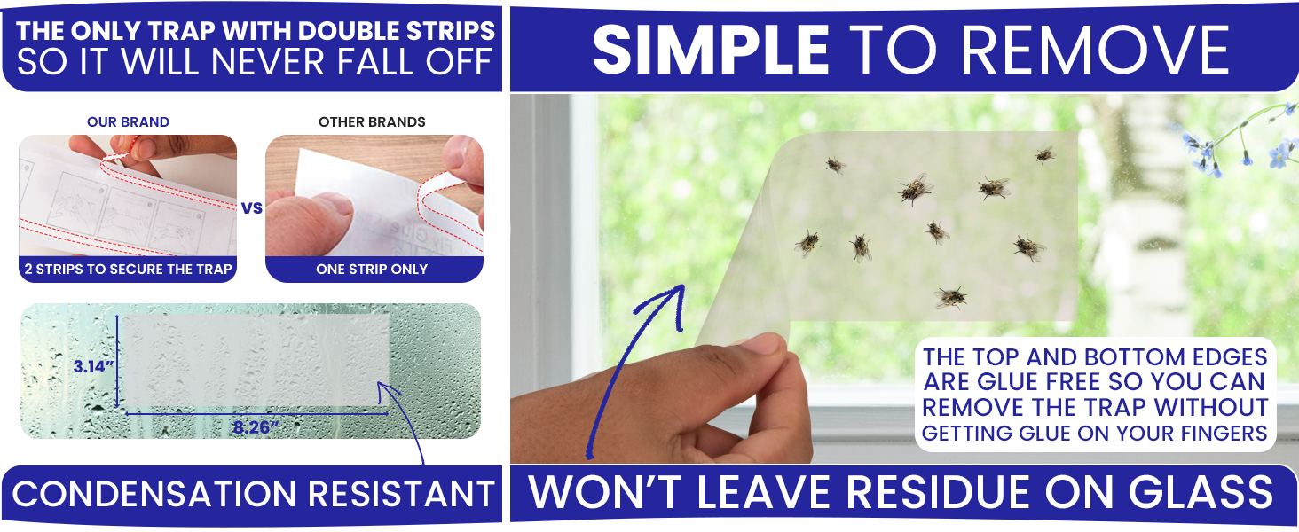 Simple to remove house fly trap indoor. Fruit fly sticky traps for getting rid of house flies.