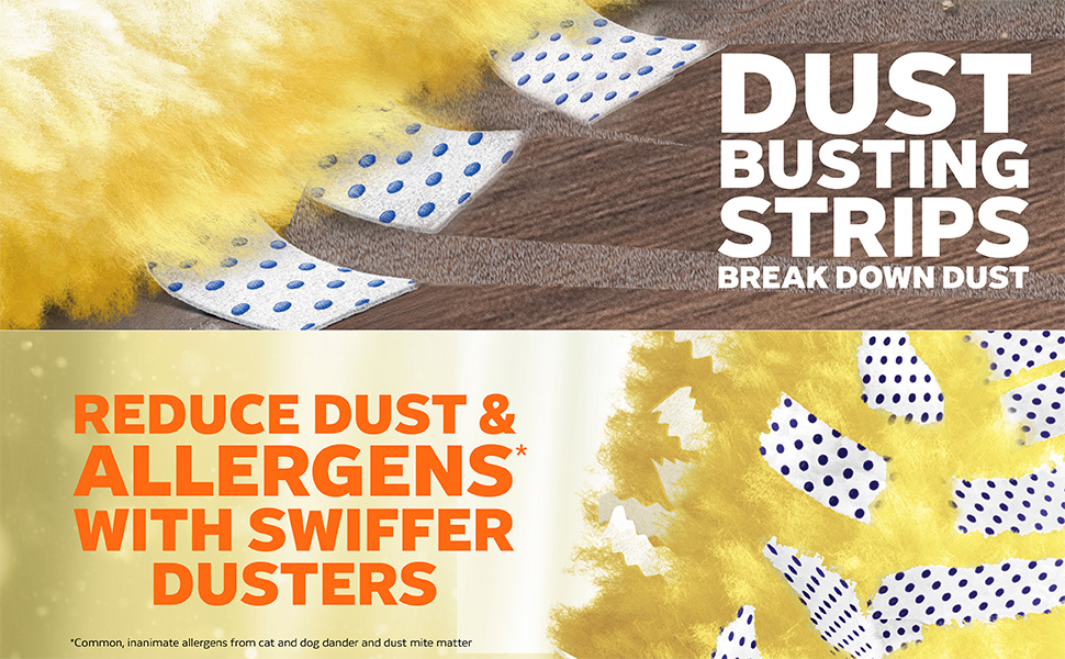 dust busting strips break down dust