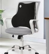 Lumbar Support Pillow07