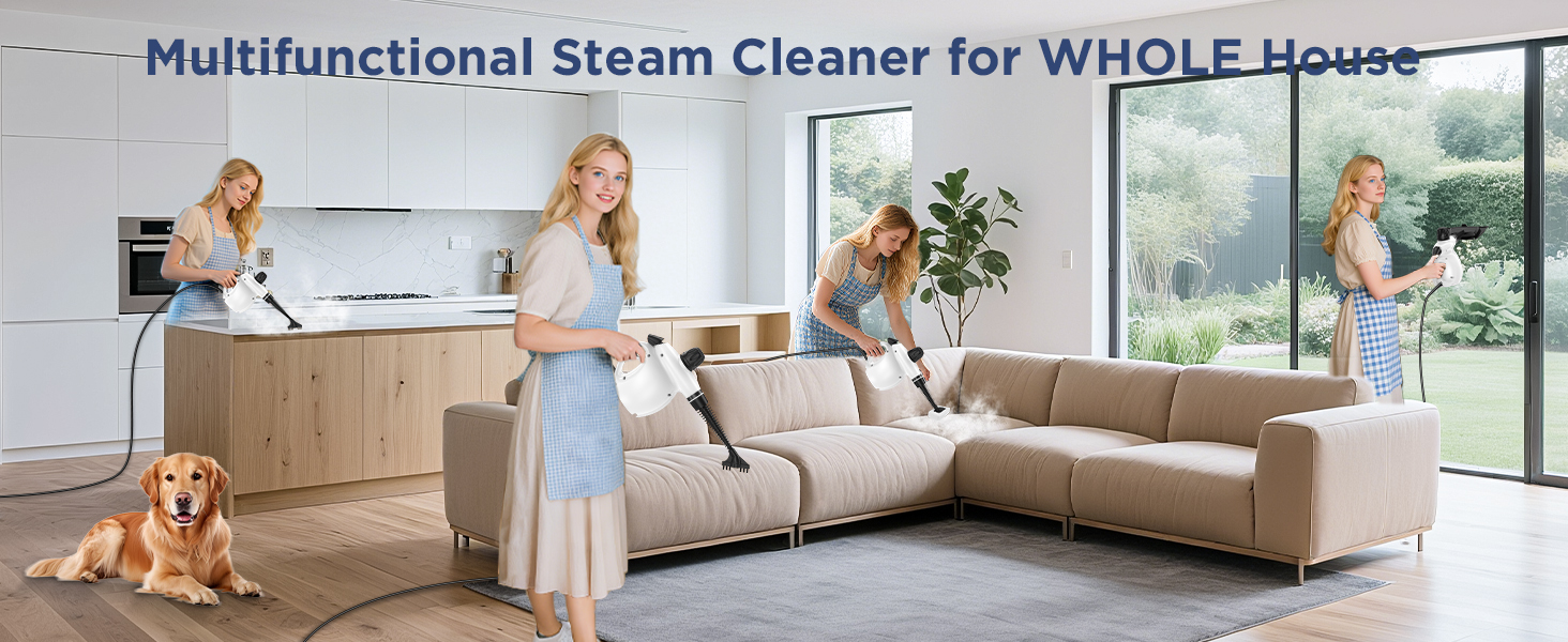 steam cleaner labigo