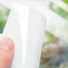 Window Fly Trap