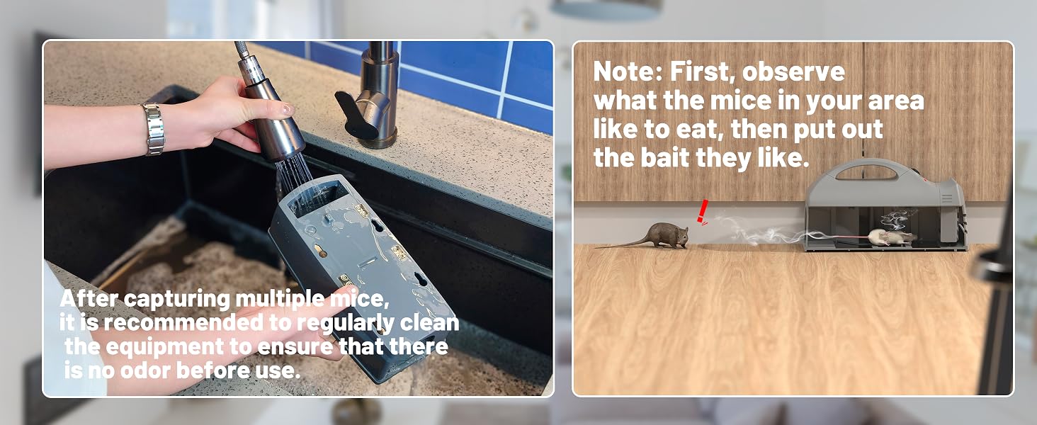 rat trap