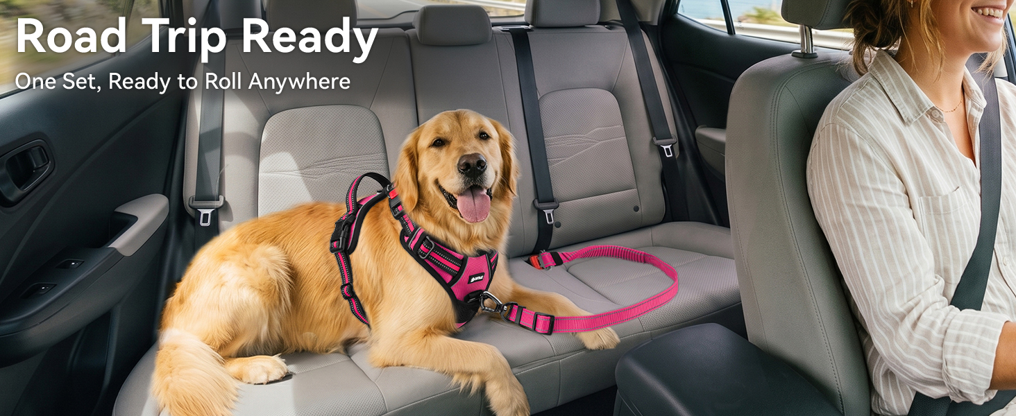 dog car harness