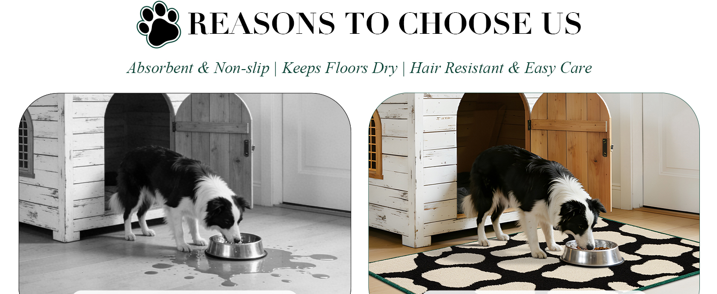 Dog rugs