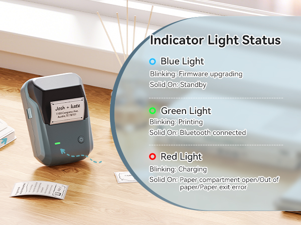 niimbot b1 label maker