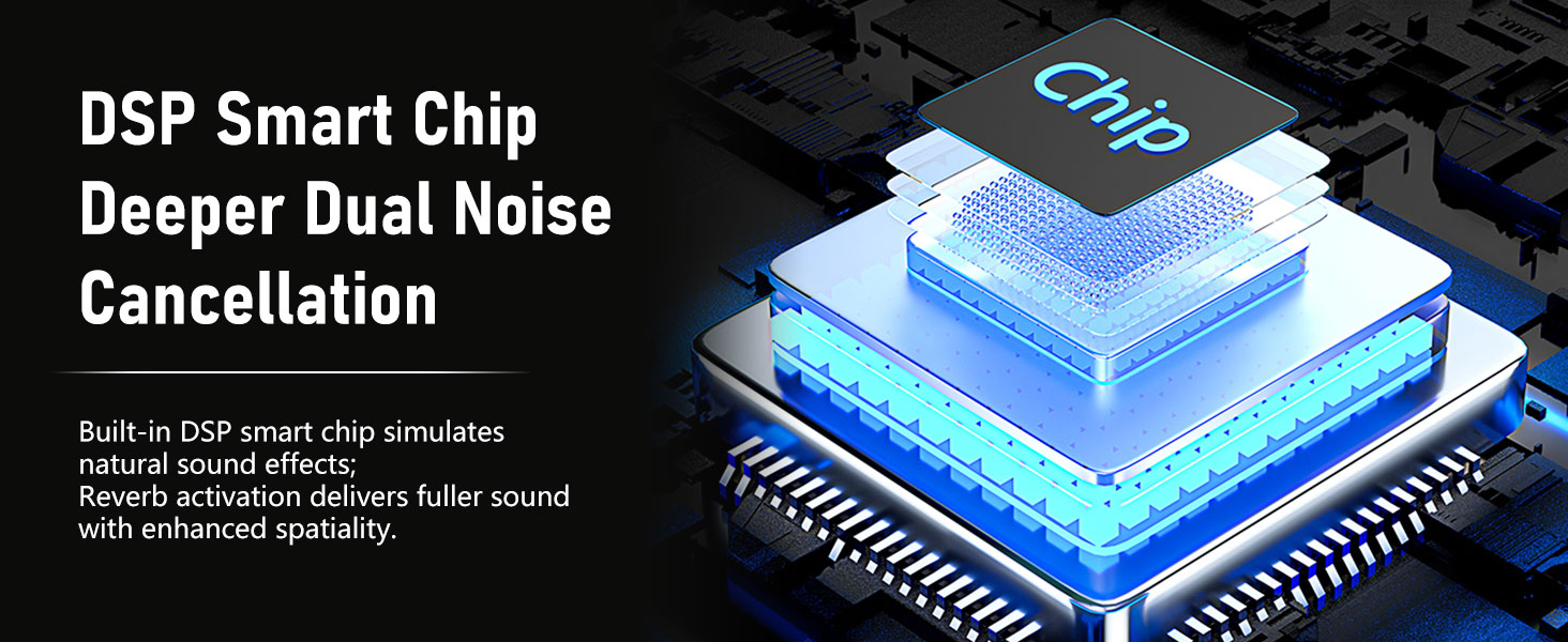 2 Wireless Microphones