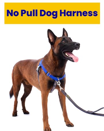 no pull dog harness