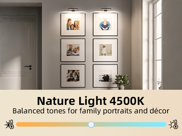 picture light wireless