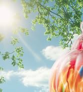 Hummingbird Feeder With Camera