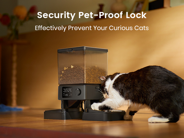 automatic cat feeder