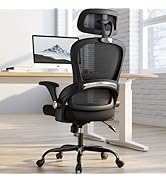 TRALT Office Chair - Ergonomic Office Chair with Back Support, Computer Chair - Home Office Desk ...