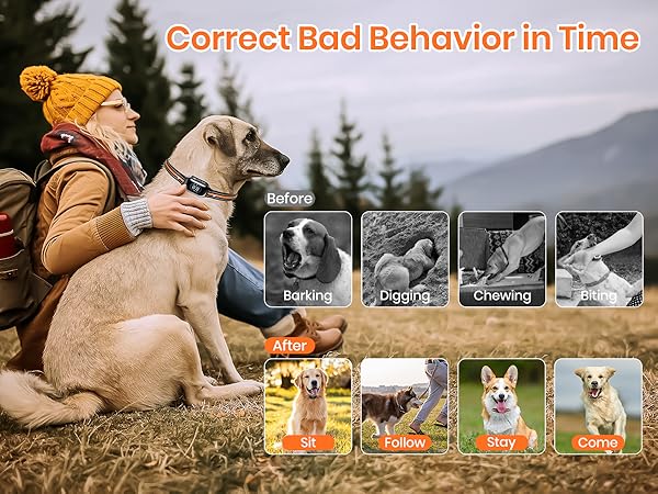 anti barking collar for dogs shock collar for dogs large breed remote dog training collar