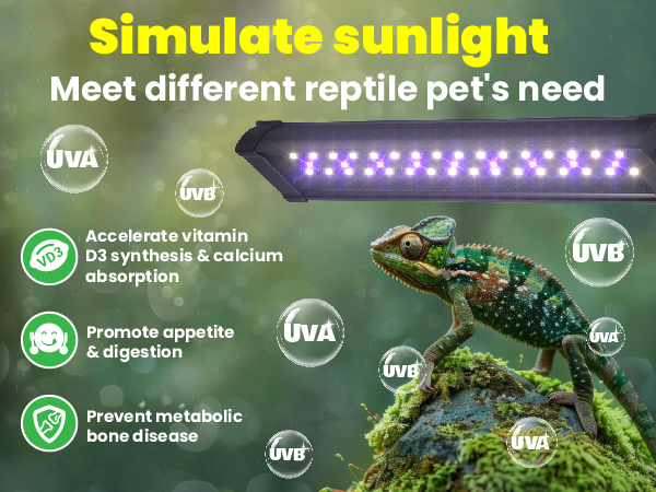 uvb light for reptiles