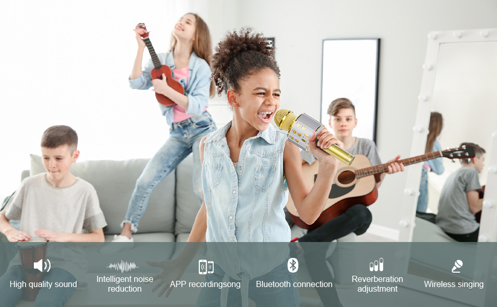 Wireless Bluetooth Karaoke Microphone