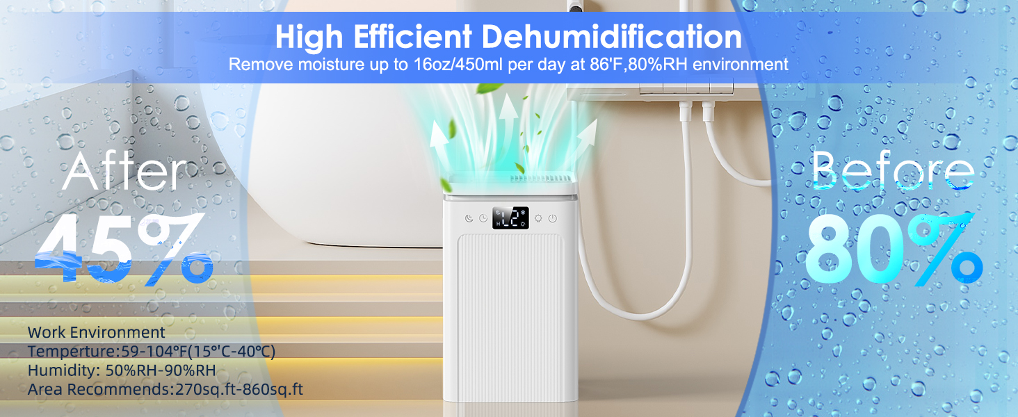 Dehumidifier