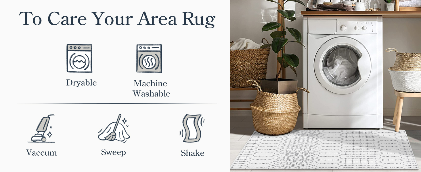 machine washable area rug