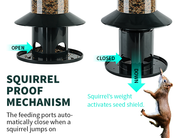 Squirrel-Proof