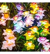 TONULAX Solar Garden Lights, Solar Daffodil Flower Lights, Color Changing Solar Lights for Outdoo...