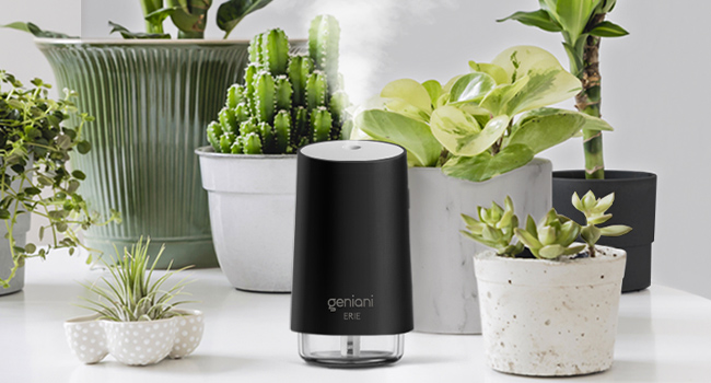 Portable Small Cool Mist Humidifiers - USB Desktop Humidifier for Plants, Office, Car