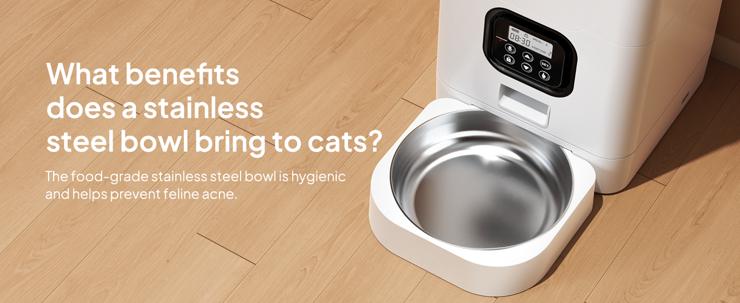 Automatic Cat Feeders