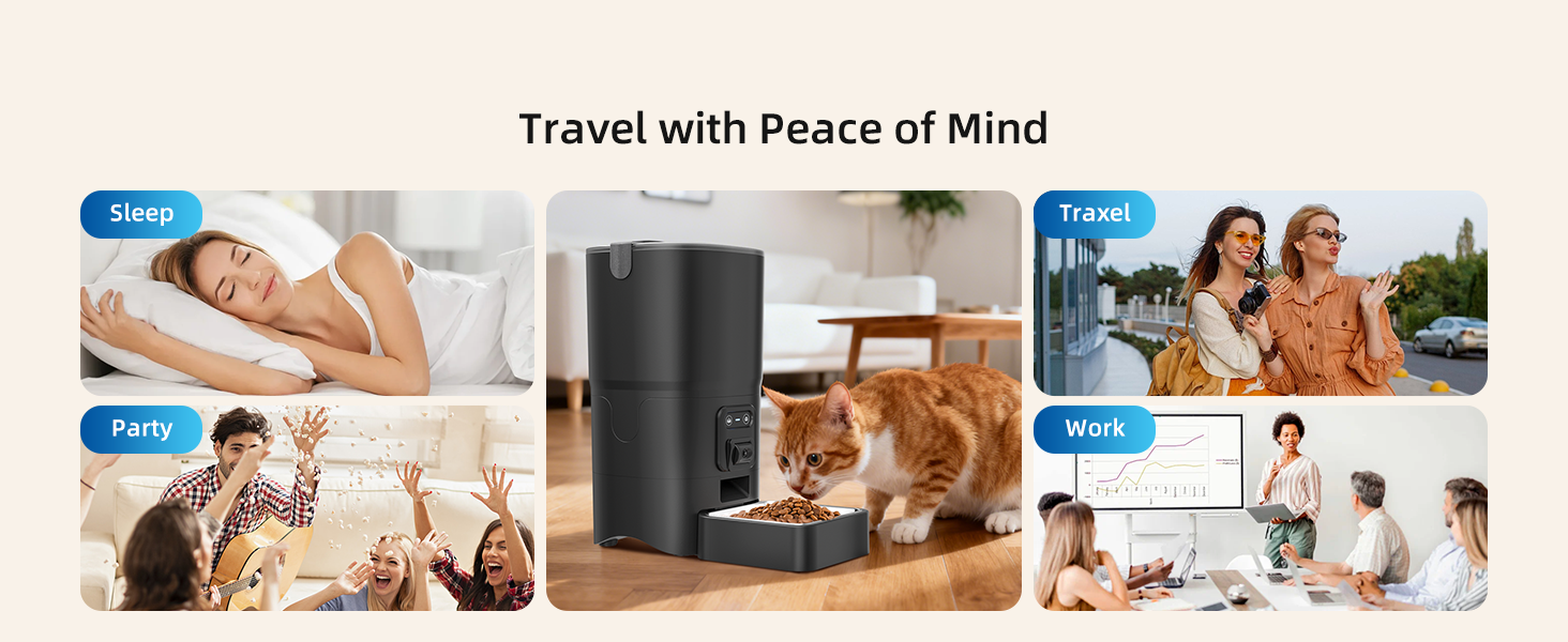 automatic cat feeder