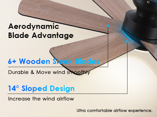 Woodern Blades Ceiling Fan