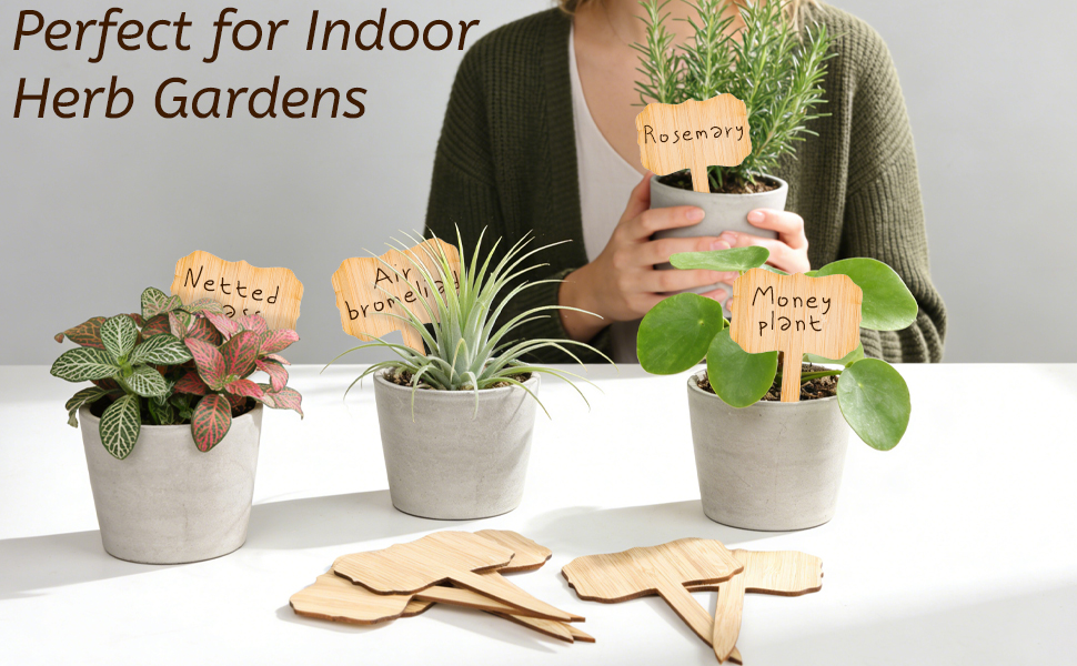 perfect for indoor herb garden