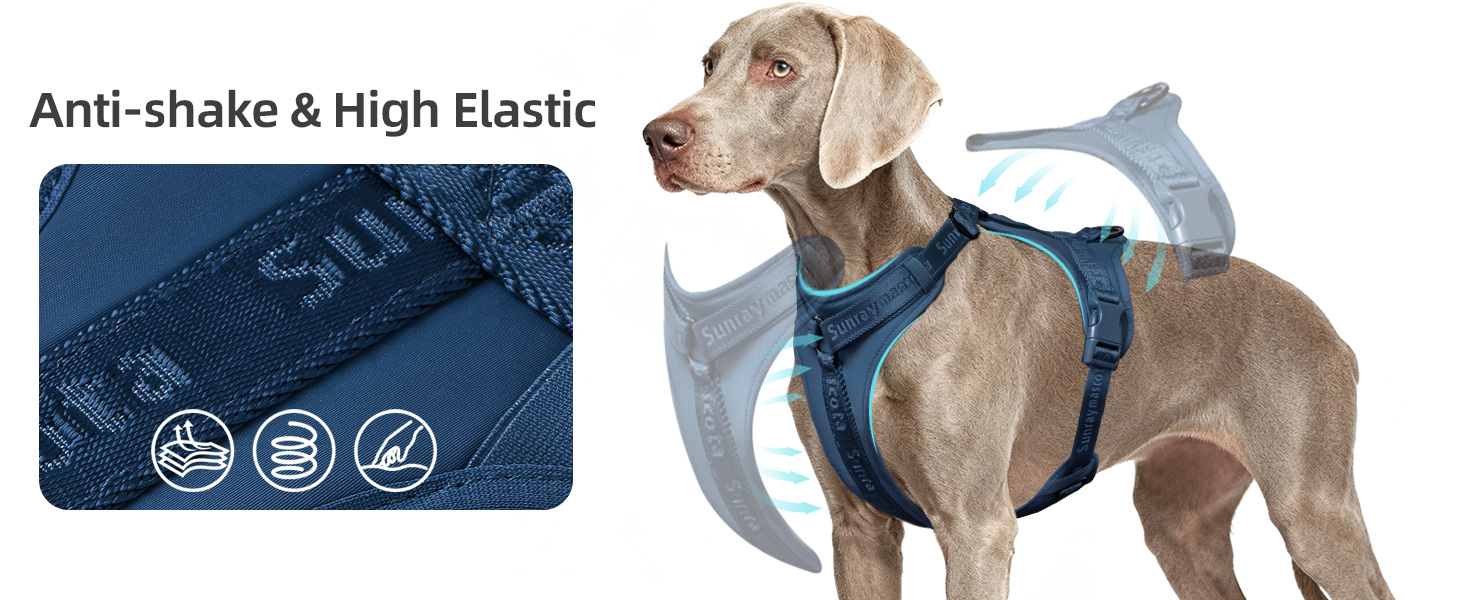 xs harness