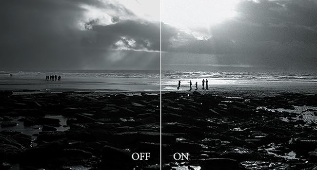 x100vi