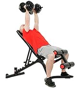 Sunny Health &amp; Fitness Weight Bench for Heavy Duty Workouts, Exercise, Strength Training, Lifting...